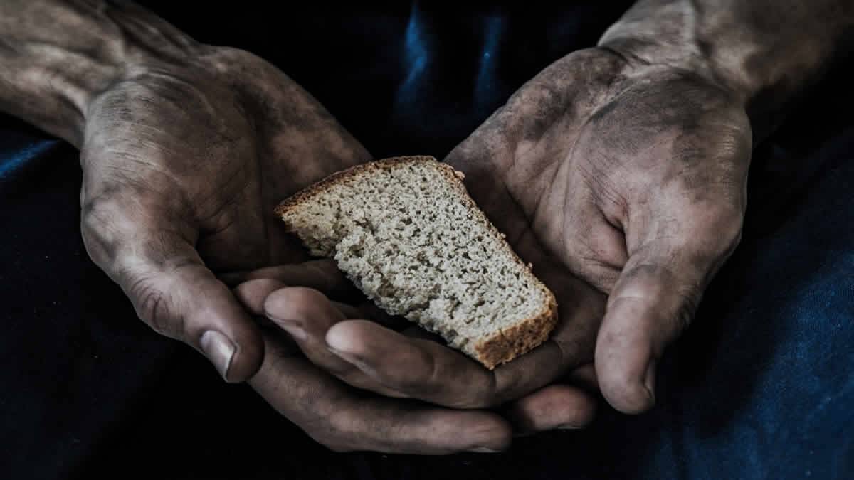 Fique Em Casa Seis Em Cada 10 Casas Brasileiras Vivem Insegurança Alimentar