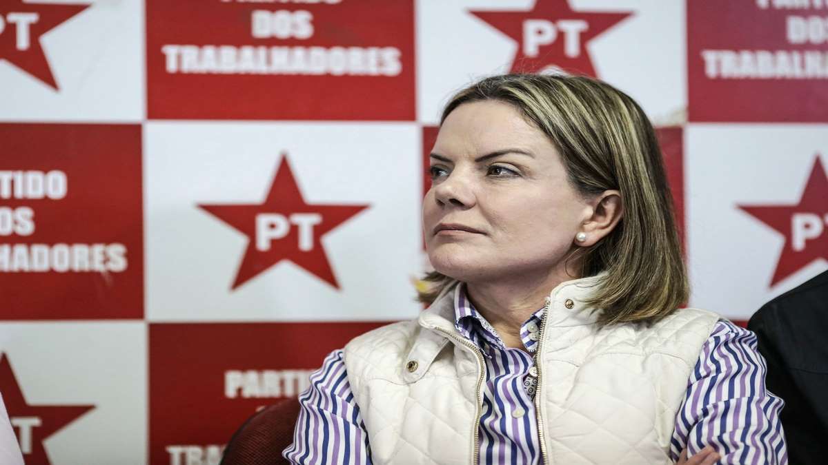 Gleisi Hoffmann, Dirigente Do PT