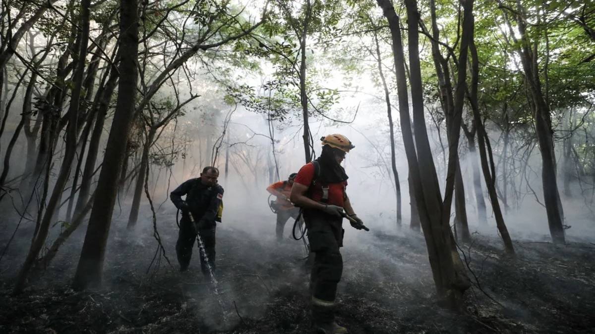 Incêndio Atinge Área De Floresta Em Iranduba, No Amazonas