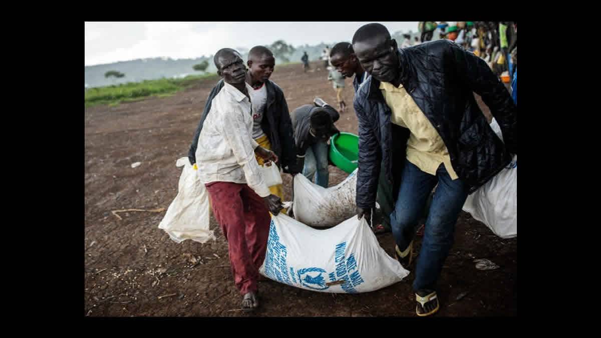 O Programa Mundial De Alimentos Da ONU, Ganhador Do Prêmio Nobel, Tem Registro De Escândalos De Estupro E Envenenamento