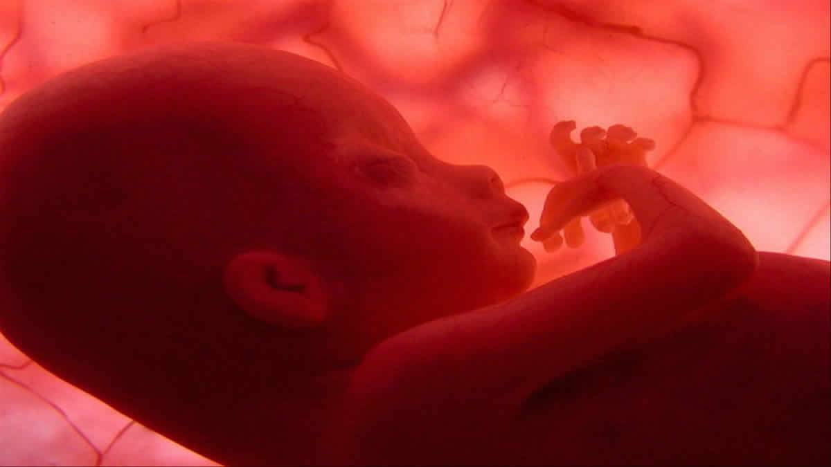 Polônia Vai Implementar Uma Proibição Quase Total Do Aborto