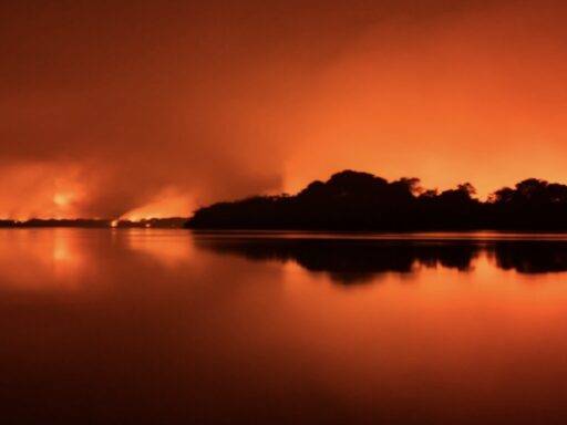 Queimadas No Pantanal