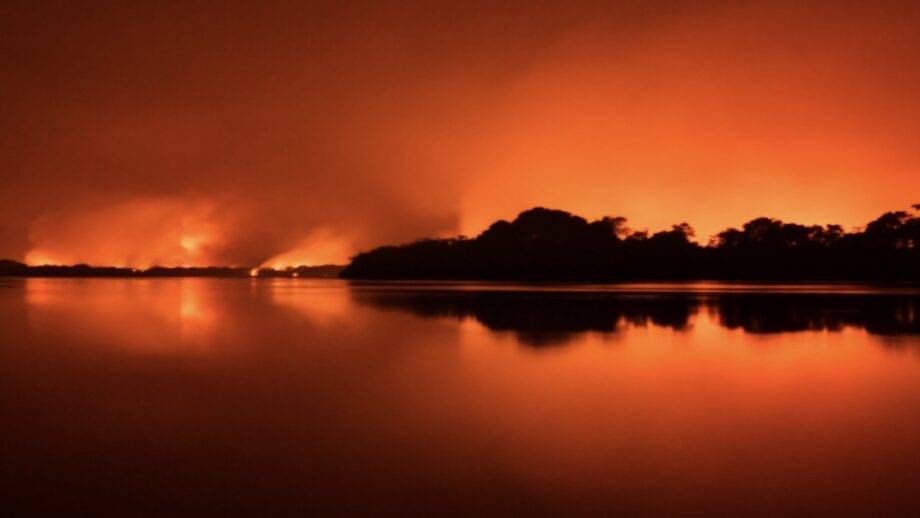 Queimadas No Pantanal