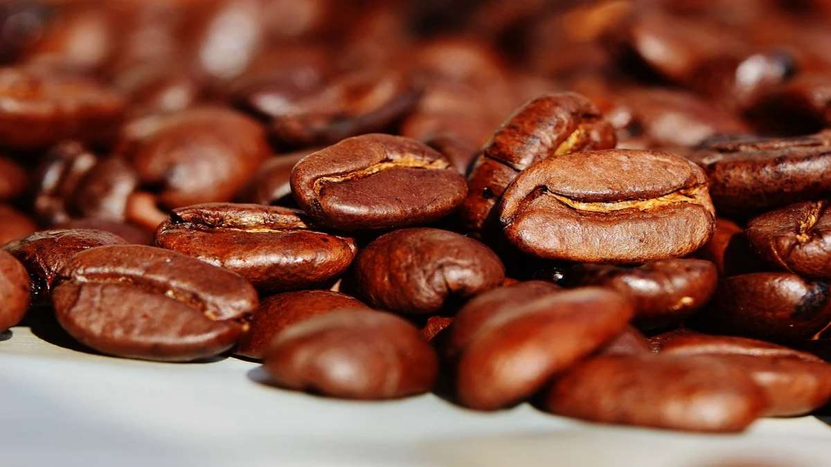 Senado Prevê Gastar Meio Milhão De Reais Com Café 100% Arábica