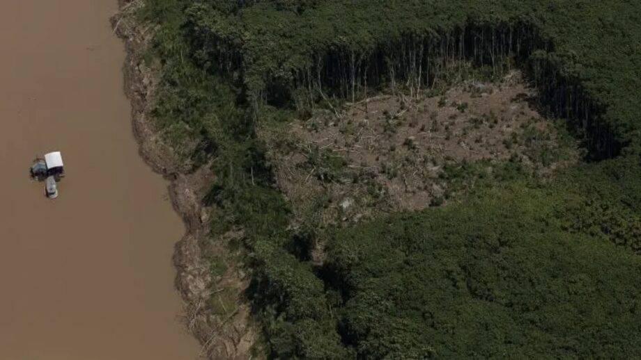 Sobrevoo Flagra Garimpo No Rio Madeira E Desmate No Limite Da Resex Do Lago Do Cuniã